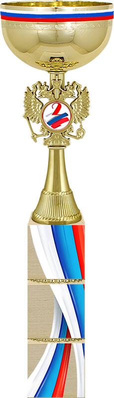 Кубок Премьер 2 место