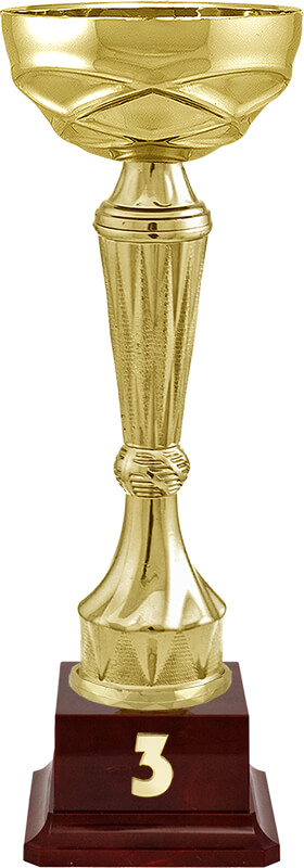 Кубок Спарт 3 место