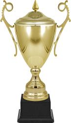 Кубок Самрат Кубок Самрат