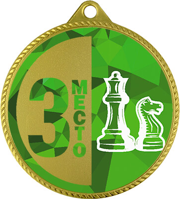 Медаль Шахматы 3 место