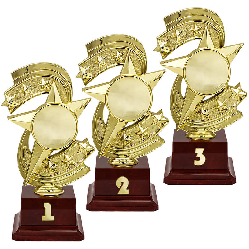 Награда 2 место