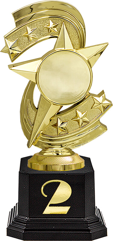 Награда 2 место