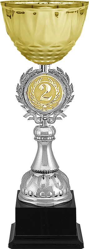 Кубок Чарлик 2 место