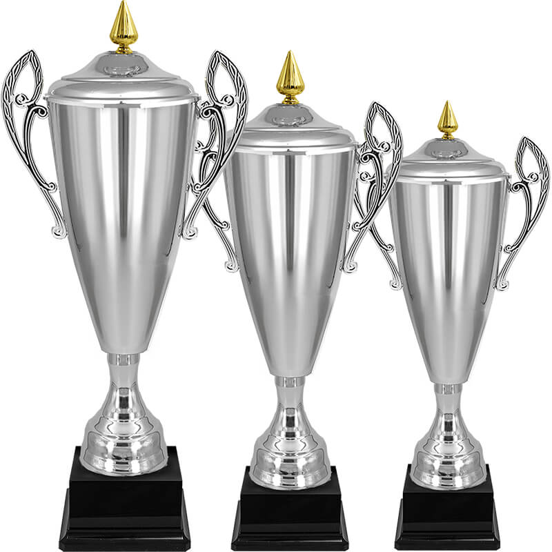 Кубок Владияр