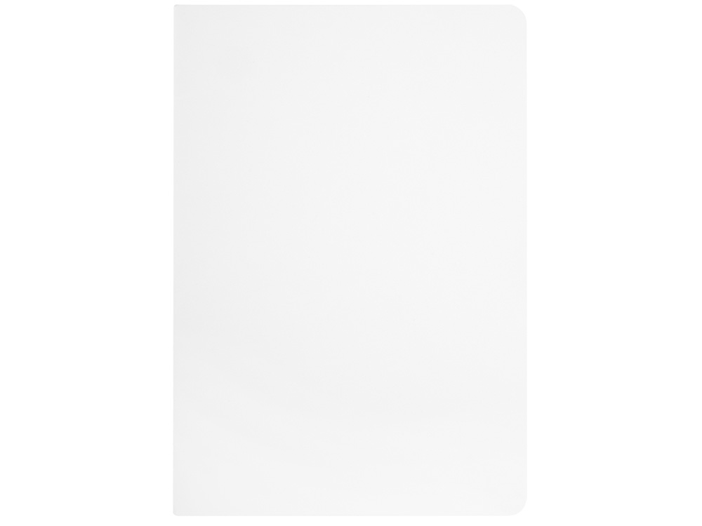 Бизнес-тетрадь А5 Pragmatic Contrast, 40 листов в клетку, белый с салатовым срезом