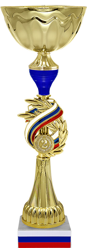 Кубок Бригадир 3