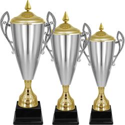 Кубок Владияр