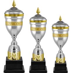 Кубок Кэлвин