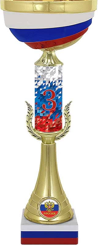 Кубок Мэтр 3 место Кубок Мэтр 3 место