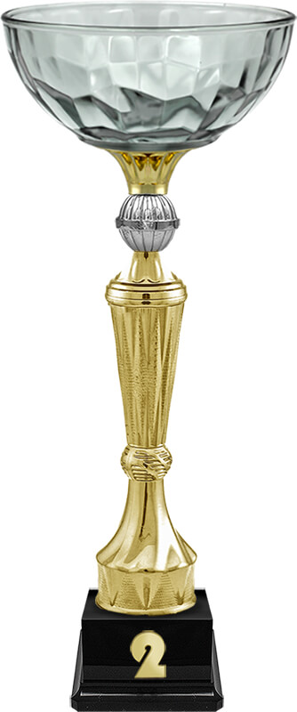 Кубок Нуар 2 место