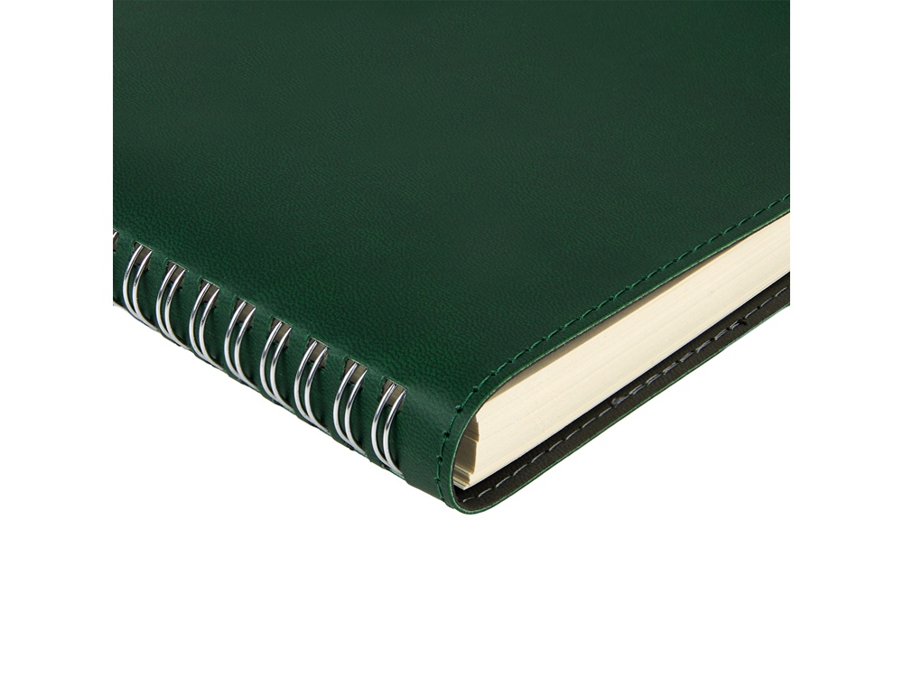 Ежедневник А5 Tintoretto, зеленый