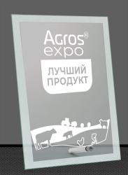 Награда из стекла с гравировкой