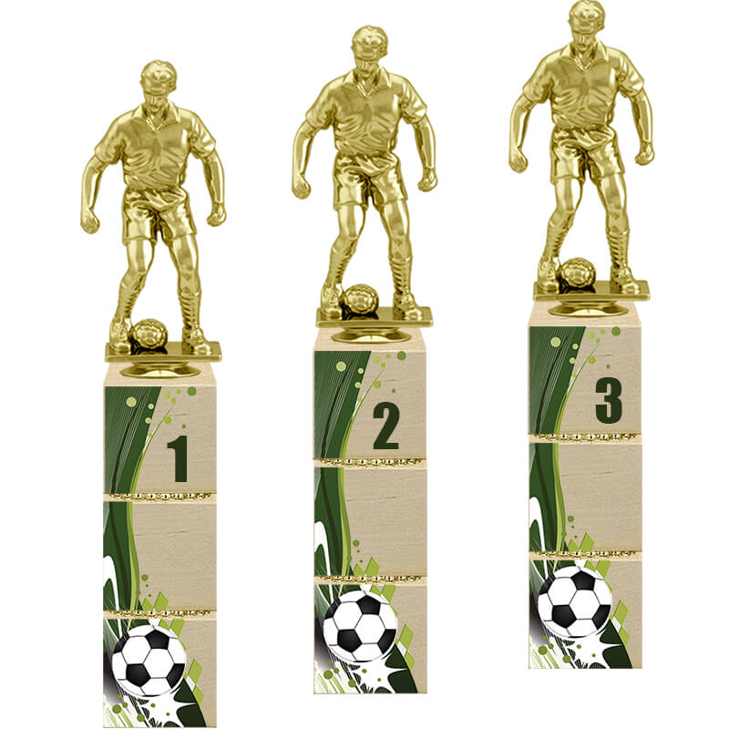 Награда Футбол 1 место Награда Футбол 1 место