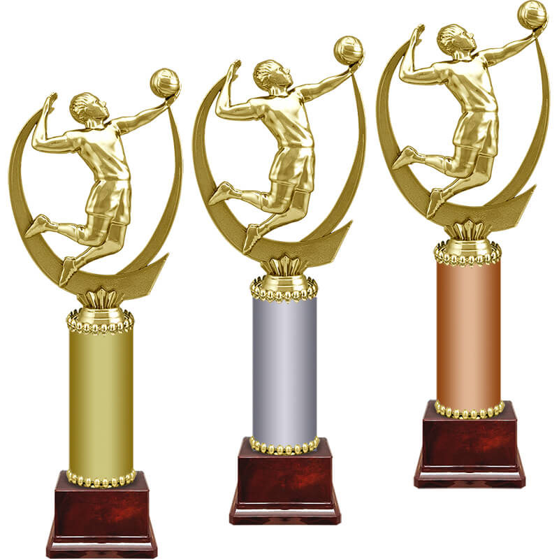 Награда Волейбол