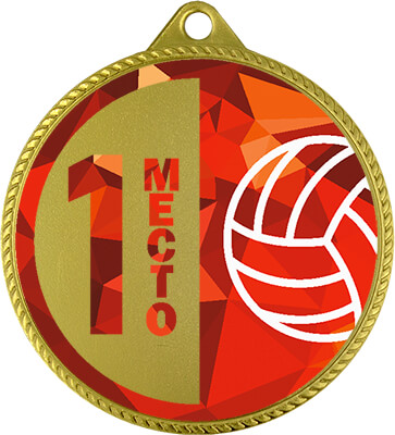 Медаль Волейбол 1 место