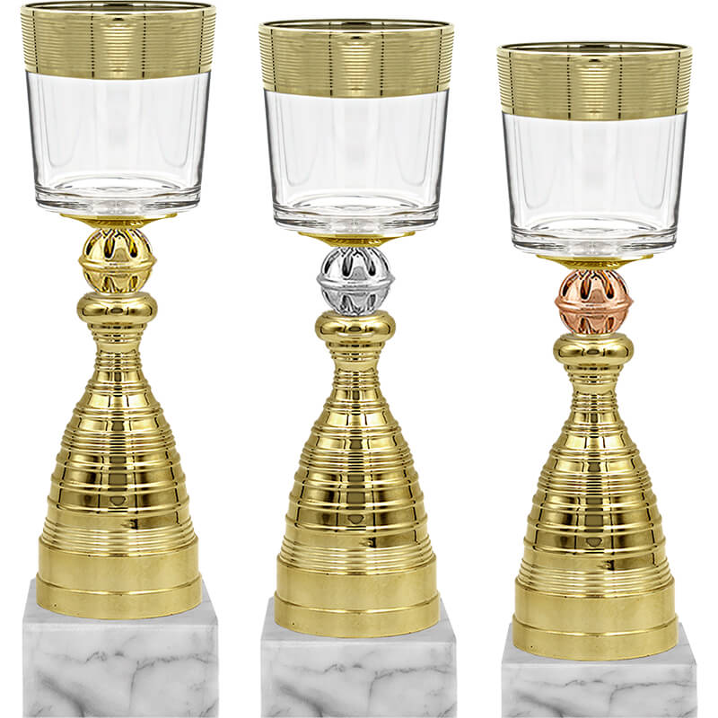 Кубок Бьёрн (под бронзу)