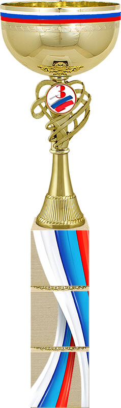 Кубок Премьер 3 место Кубок Премьер 3 место