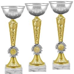 Кубок Гриф 3 место