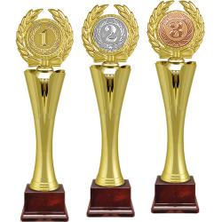 Награда 3 место Награда 3 место