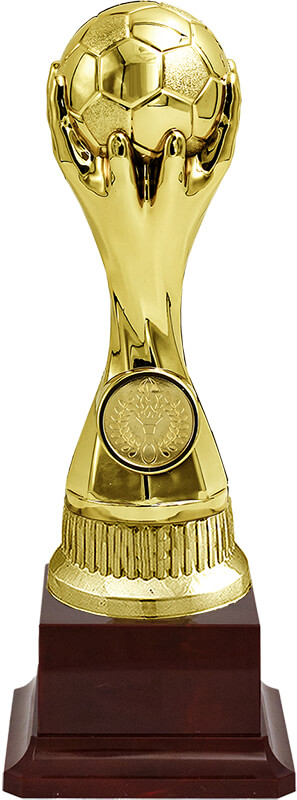 Награда футбол (бордовая)