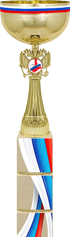 Кубок Премьер 3 место