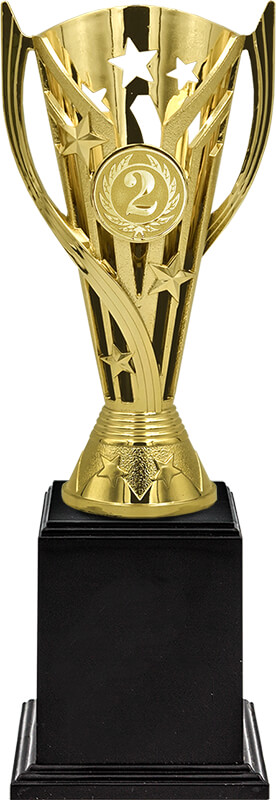 Кубок Пеппи 2 место