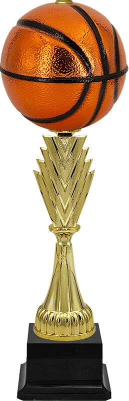 Кубок Свен (баскетбол)