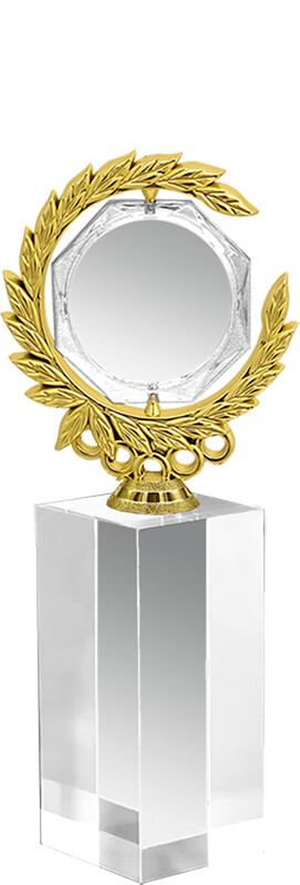 Награда из стекла с фигурой