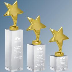 Награда Звезды с гравировкой Награда Звезды с гравировкой