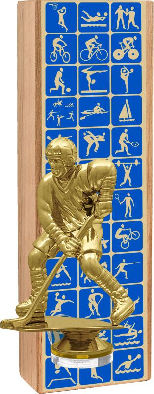 Награда Хоккей