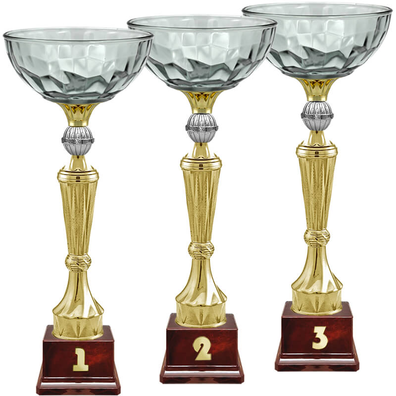 Кубок Нуар 1 место