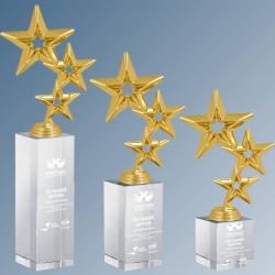 Награда Звезды с гравировкой Награда Звезды с гравировкой