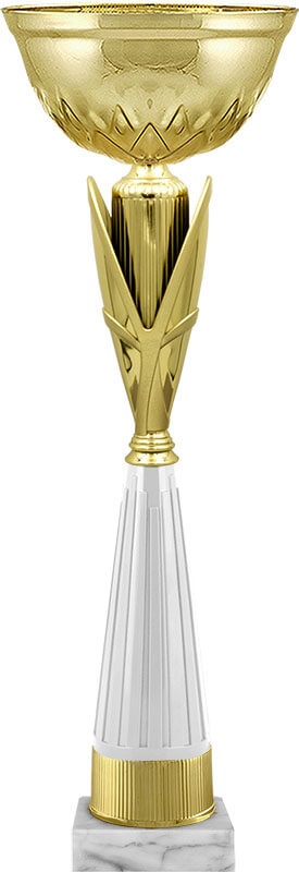 Кубок Асель