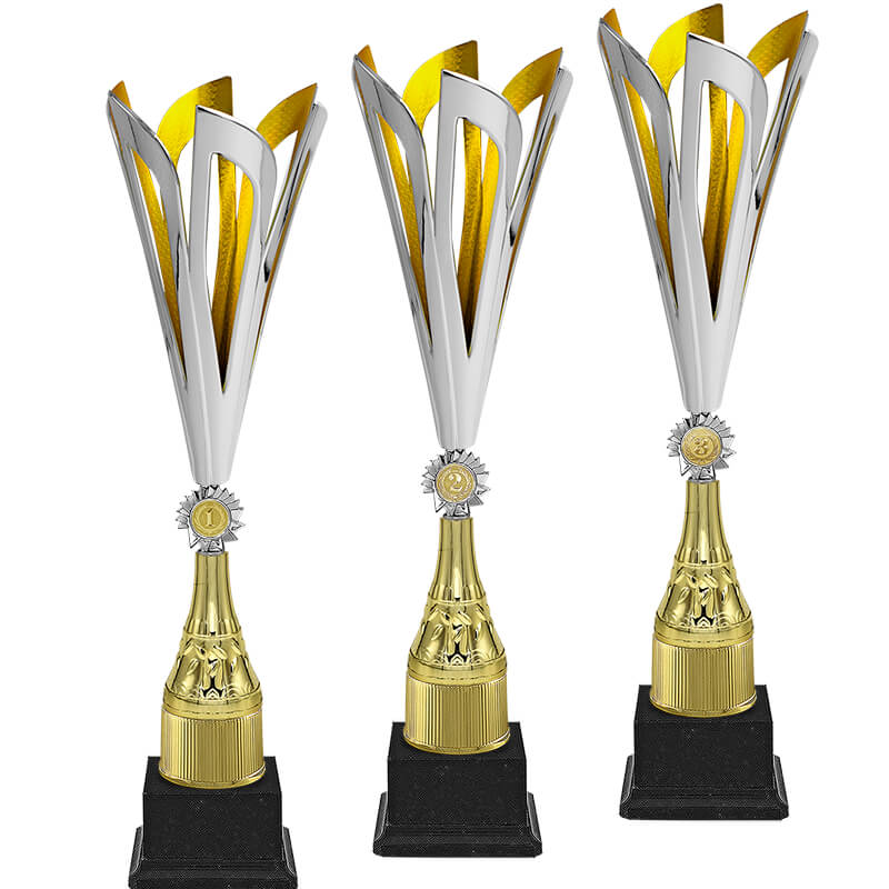 Кубок Эмма 3 место