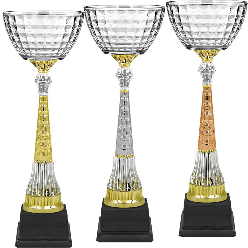 Кубок Катарина (под бронзу)