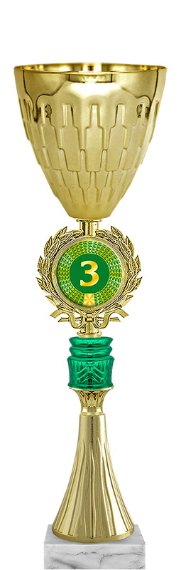 Кубок Радослав 3 место