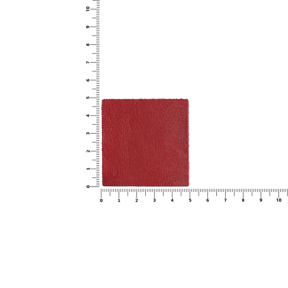 Лейбл кожаный Pasek, L, красный Лейбл кожаный Pasek, L, красный