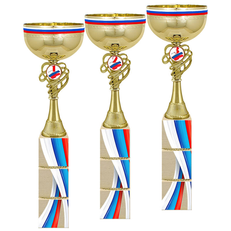 Кубок Премьер 1 место