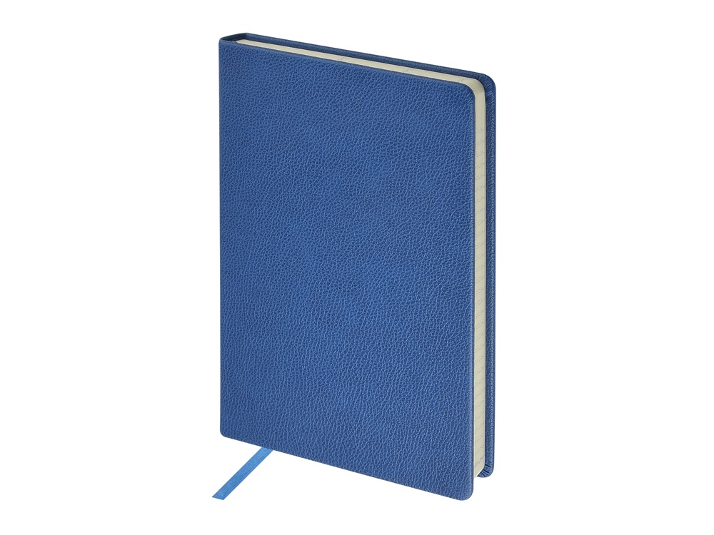 Ежедневник А5 датированный Megapolis Loft на 2026, синий