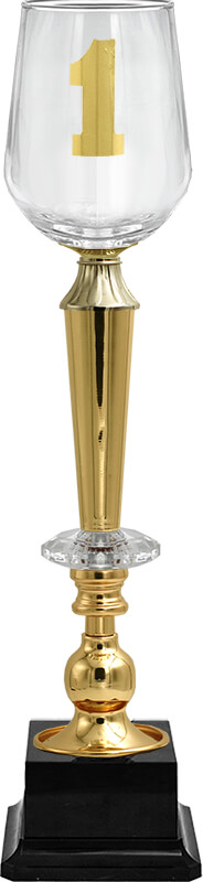 Кубок Агния 1 место