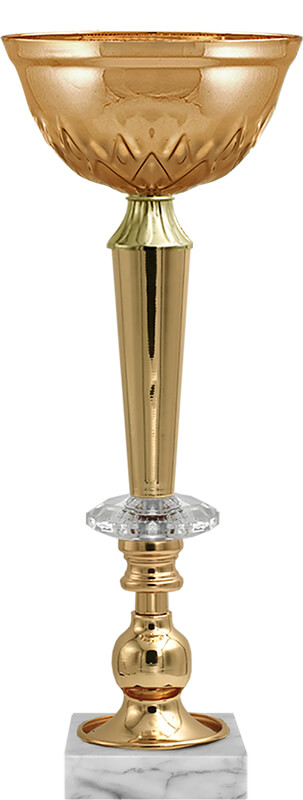 Кубок Василина (под бронзу)