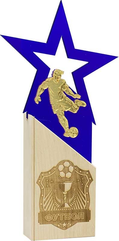 Награда футбол
