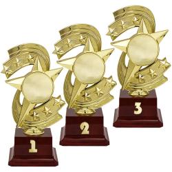 Награда 3 место Награда 3 место