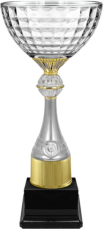 Кубок Ньютон