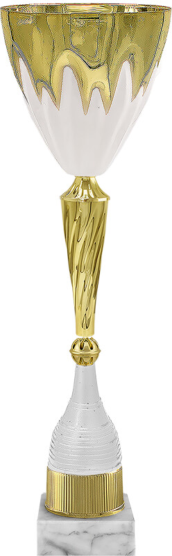 Кубок Аэлита