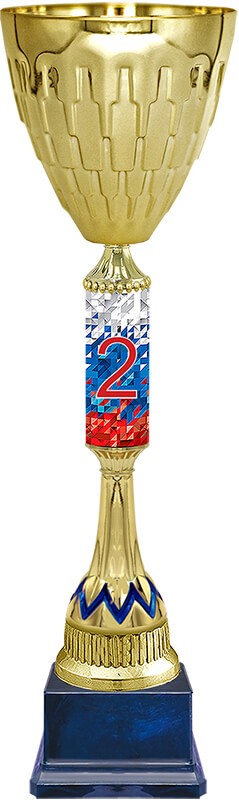 Кубок Альф 2 место