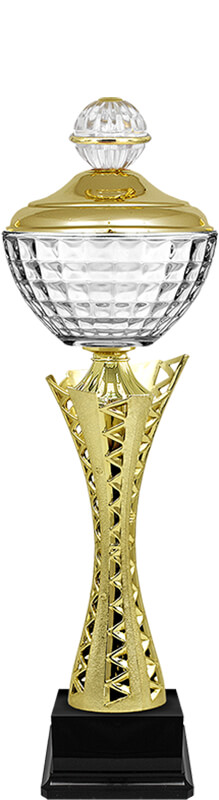 Кубок Карина