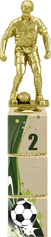 Награда Футбол 2 место Награда Футбол 2 место