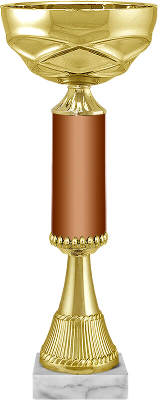 Кубок Айран