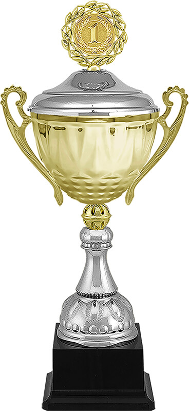 Кубок Георг 1 место